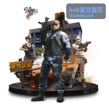 kok官方首页企业支持方案服务流程说明图